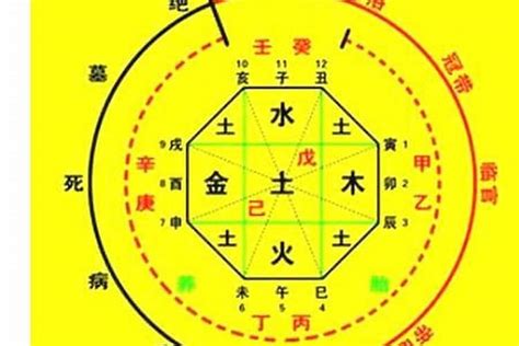 算命 2024|生辰八字算命、五行喜用神查询（免费测算）